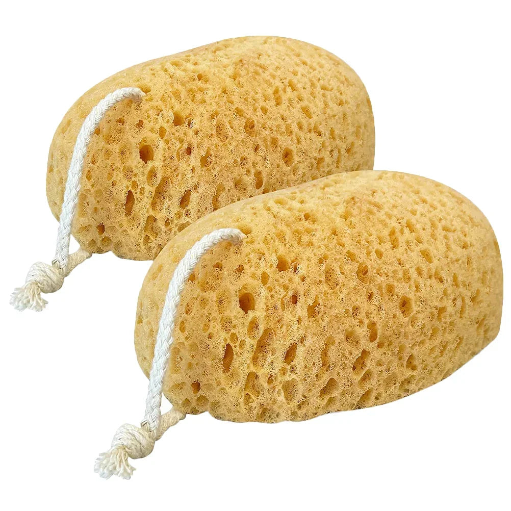 Body Foam Sponges