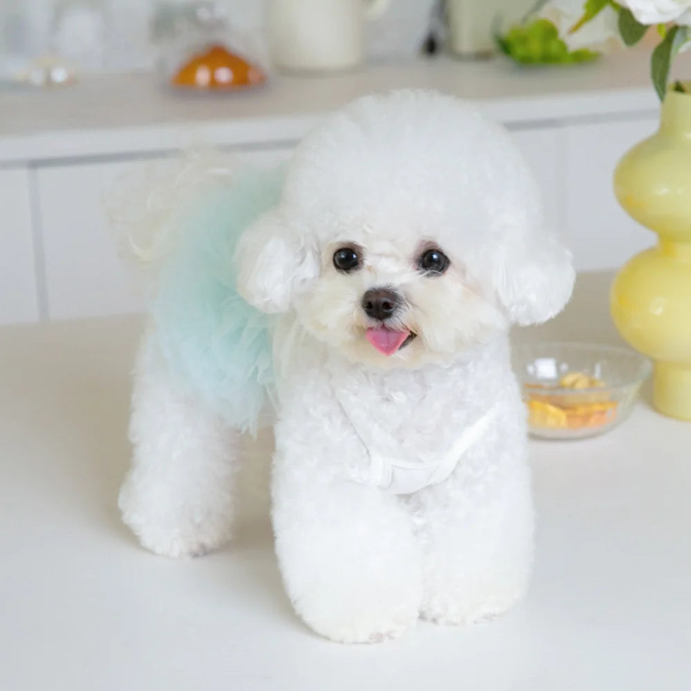 Pet Mesh Puffy Tutu Skirt – Layered Skirt for Small Dogs, Teddy Dogs, and Puppies