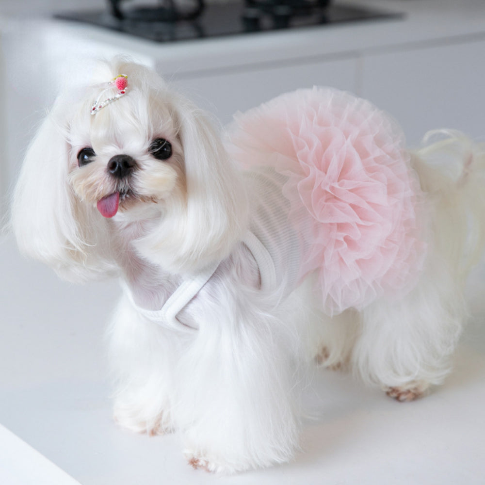 Pet Mesh Puffy Tutu Skirt – Layered Skirt for Small Dogs, Teddy Dogs, and Puppies