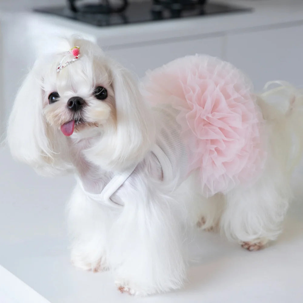 Pet Mesh Puffy Tutu Skirt – Layered Skirt for Small Dogs, Teddy Dogs, and Puppies
