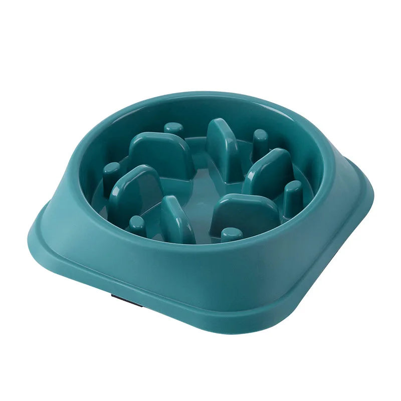 Slow Food Pet Bowl