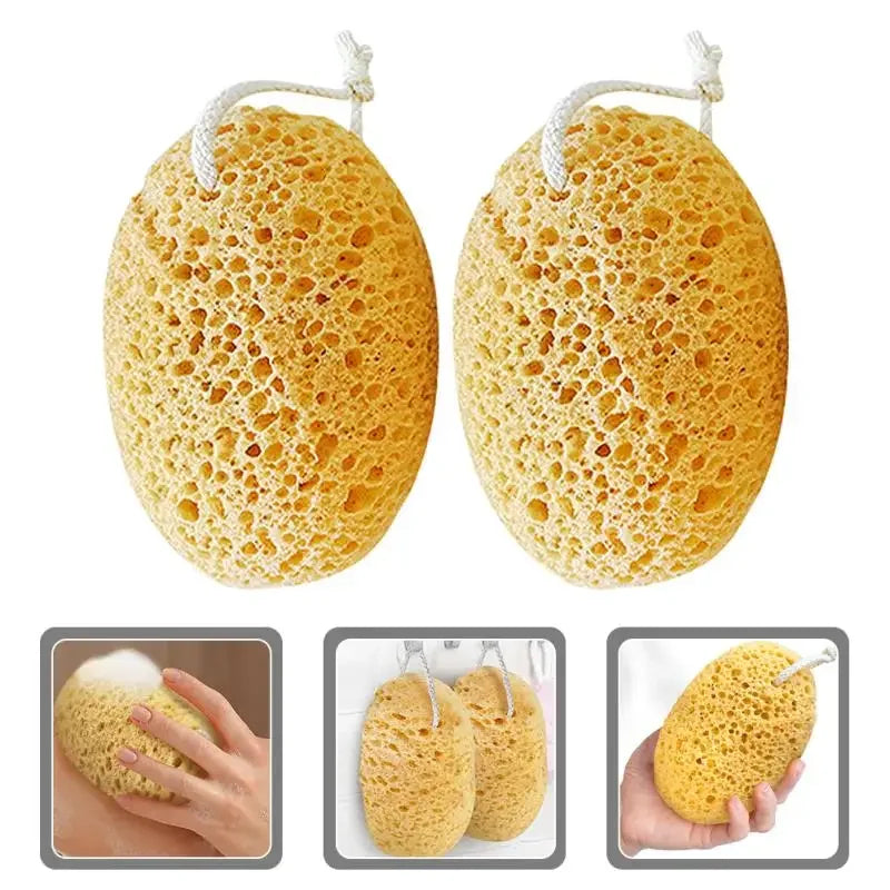 Body Foam Sponges