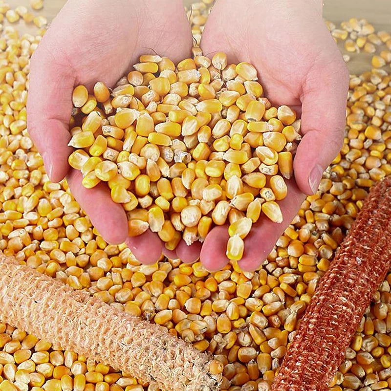 Corn Thresher Fully Automatic Corn Peeling Machine Household Electric Dry And Wet Grain Wrapping Tool Corn Peeling Machine