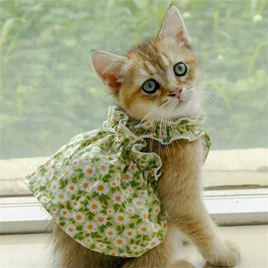 Summer Green Sphynx Cat Suspender Skirt Love Flower Pet Princess Dresses for Cats Gotas Katten Kedi Dog Dress mascotas Clothes