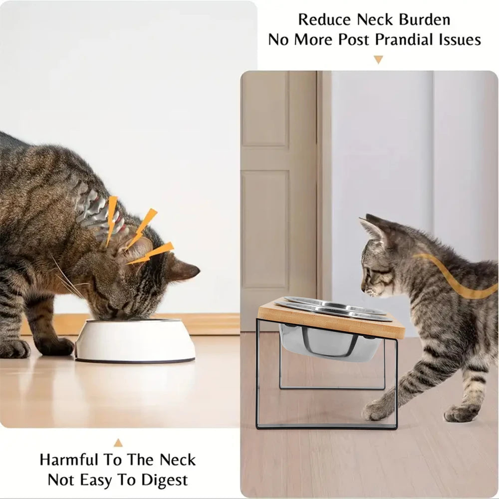 5° Tilted Elevated Pet Bowl – Stainless Steel Feeder for Cats and Puppies, Ergonomic Raised Dog Bowl