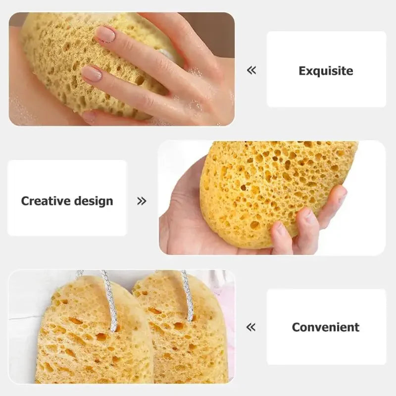 Body Foam Sponges