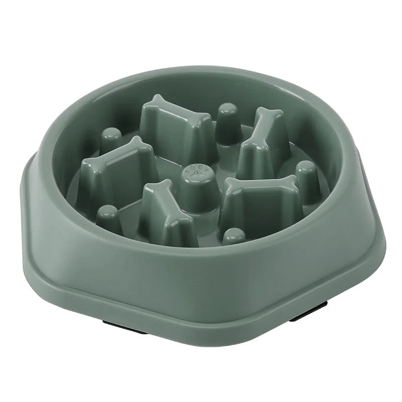 Slow Food Pet Bowl