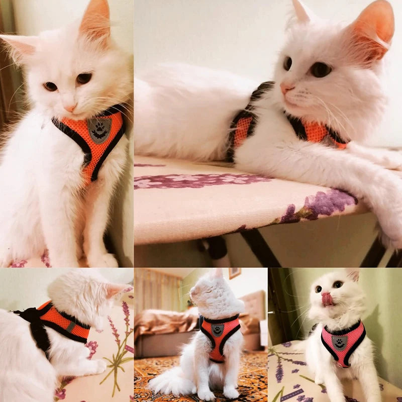 Adjustable Polyester Mesh Pet Harness Lead