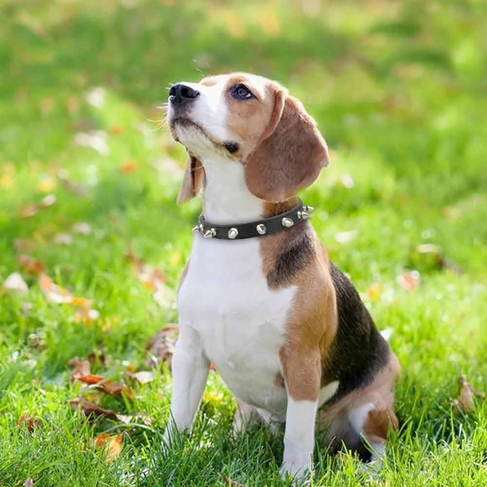Anti-Bite Spiked Dog Collar – PU Leather Studded Collar for Small Dogs, Bulldogs, Pugs, and Puppies