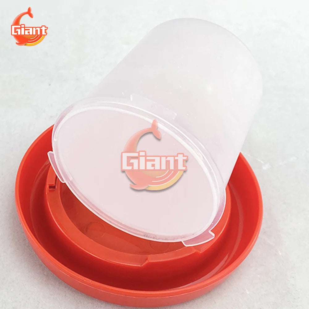 Chicken Chick Feeder & Waterer – Manger Grid Design for Easy Feeding and Drinking