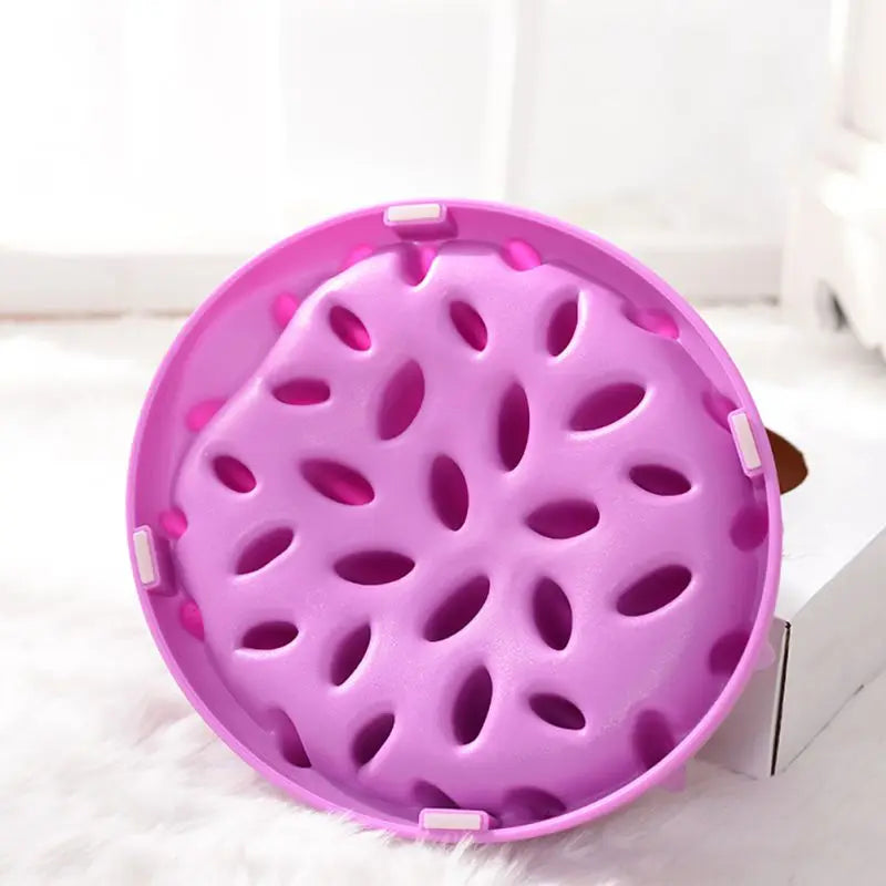 Non-Slip Slow Feeder Bowl – Interactive Anti-Gulping Silicone Feeding Dish for Dogs, Cats & Kittens