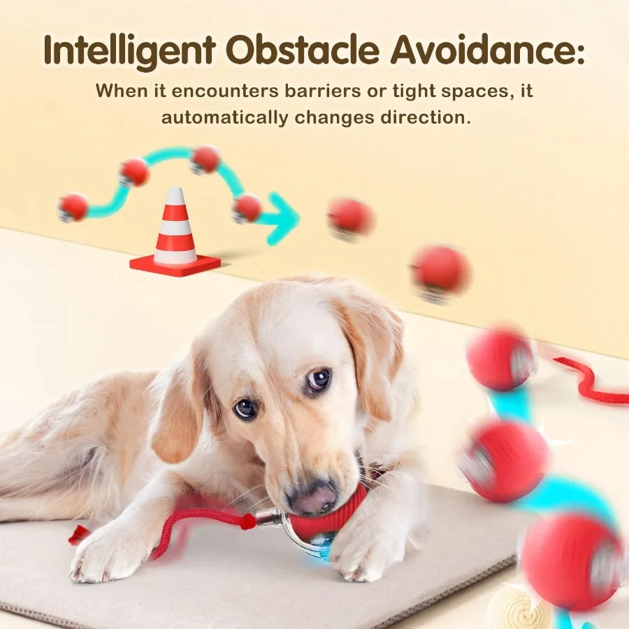 Interactive Cat Toys Ball for Indoor Cats Interactive Rolling Dog Ball Cat Toy Automatic Cat Toy Self Moving Dog Toys 360 Rolli