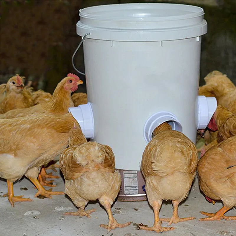 Automatic Poultry Waterer & Feeder – DIY Rainproof Feeding Kit for Chickens & Ducks