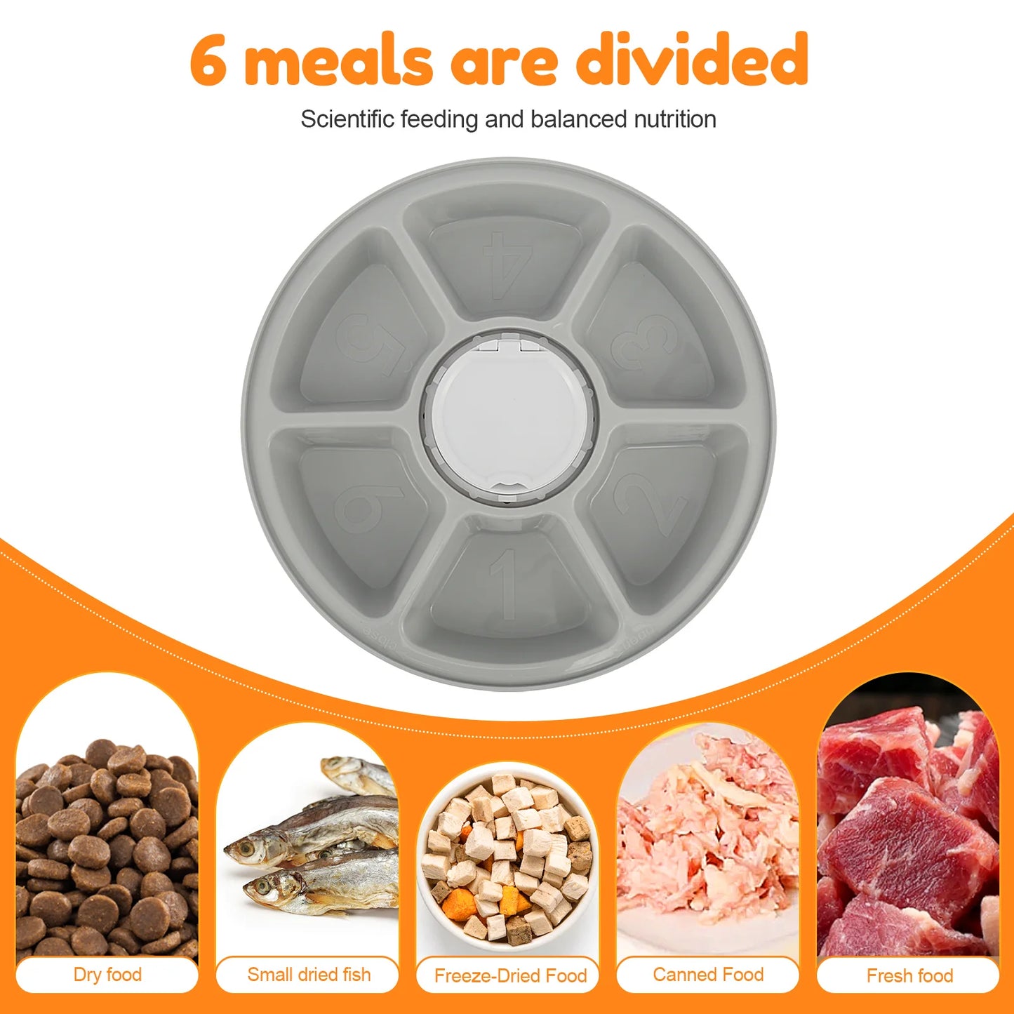 Automatic Pet Feeder 6-Grids 24 Hour Timing Wet/Dry Snacks Feeding Device Battery Powered For Cats Dogs Foods Dispenser