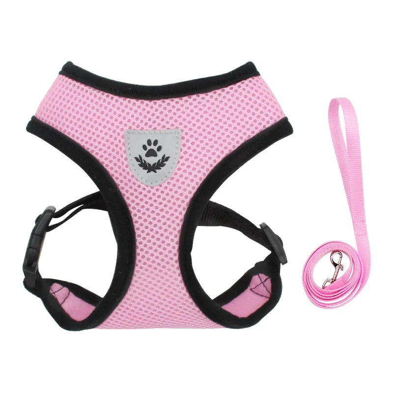 Adjustable Polyester Mesh Pet Harness Lead