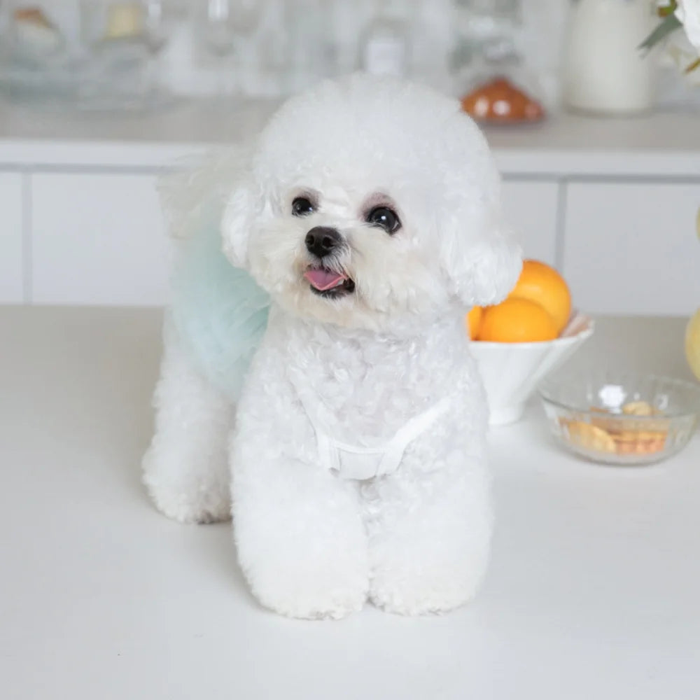 Pet Mesh Puffy Tutu Skirt – Layered Skirt for Small Dogs, Teddy Dogs, and Puppies