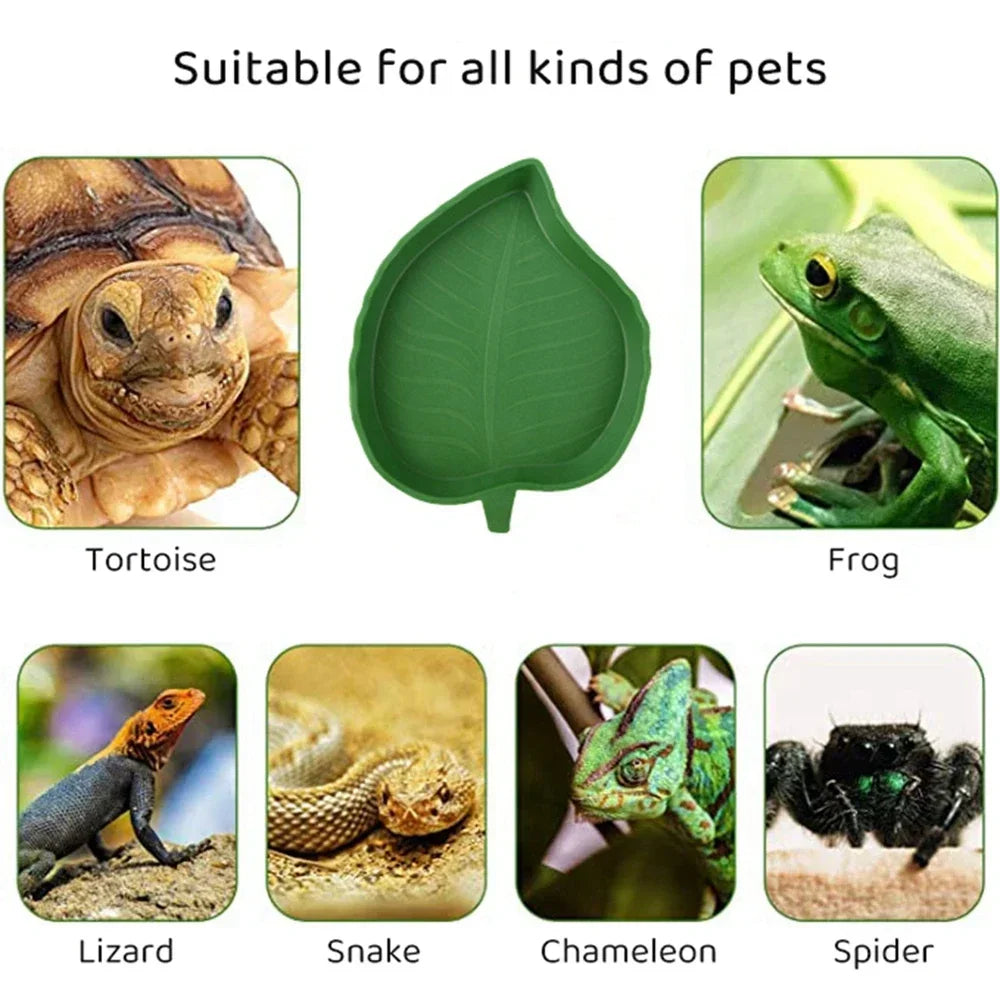 Leaf-Shaped Plastic Reptile Feeder – Small Pet Food & Water Tray for Turtles and Aquarium Habitats