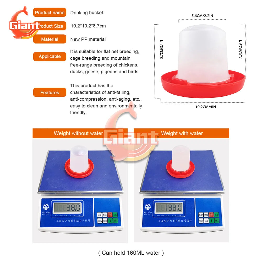 Chicken Chick Feeder & Waterer – Manger Grid Design for Easy Feeding and Drinking