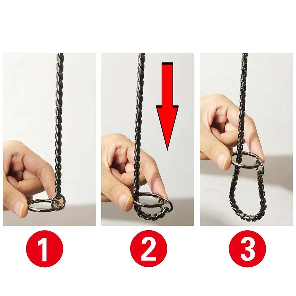 Integrated Dog Slip Chain Collar Leash 3Integrated Dog Slip Chain Collar & Leash – 304 Stainless Steel Choke Collar with Leather Handle for Training and Show04 Stainless Steel Dog Metal Choke Collar Pet Training Leash Show with Leather Handle