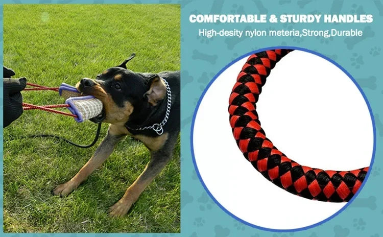 Dog Chew Sticks Chew Pillow