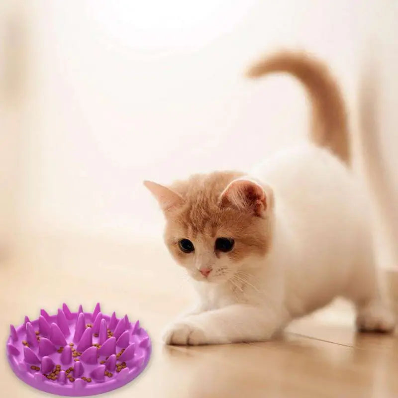 Non-Slip Slow Feeder Bowl – Interactive Anti-Gulping Silicone Feeding Dish for Dogs, Cats & Kittens