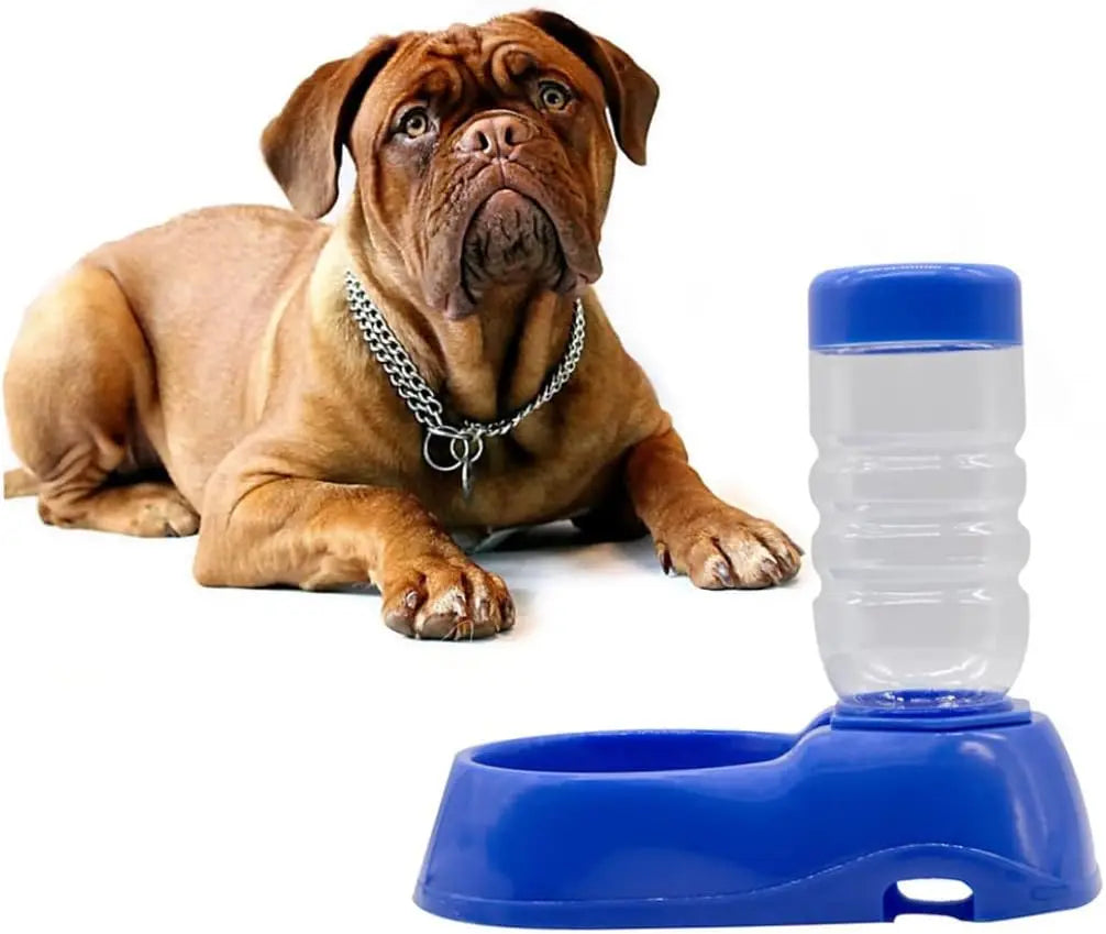 Automatic Water Dispenser & Pet Feeder