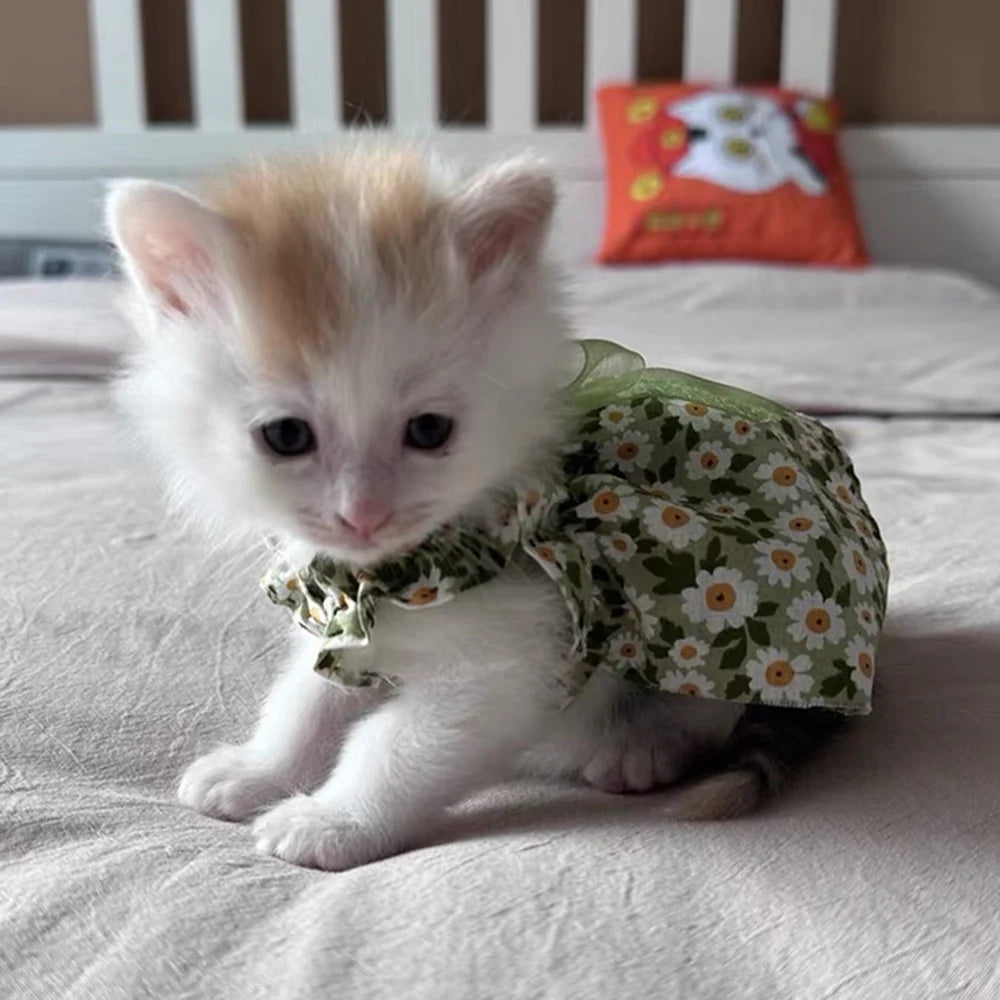 Summer Green Sphynx Cat Suspender Skirt Love Flower Pet Princess Dresses for Cats Gotas Katten Kedi Dog Dress mascotas Clothes