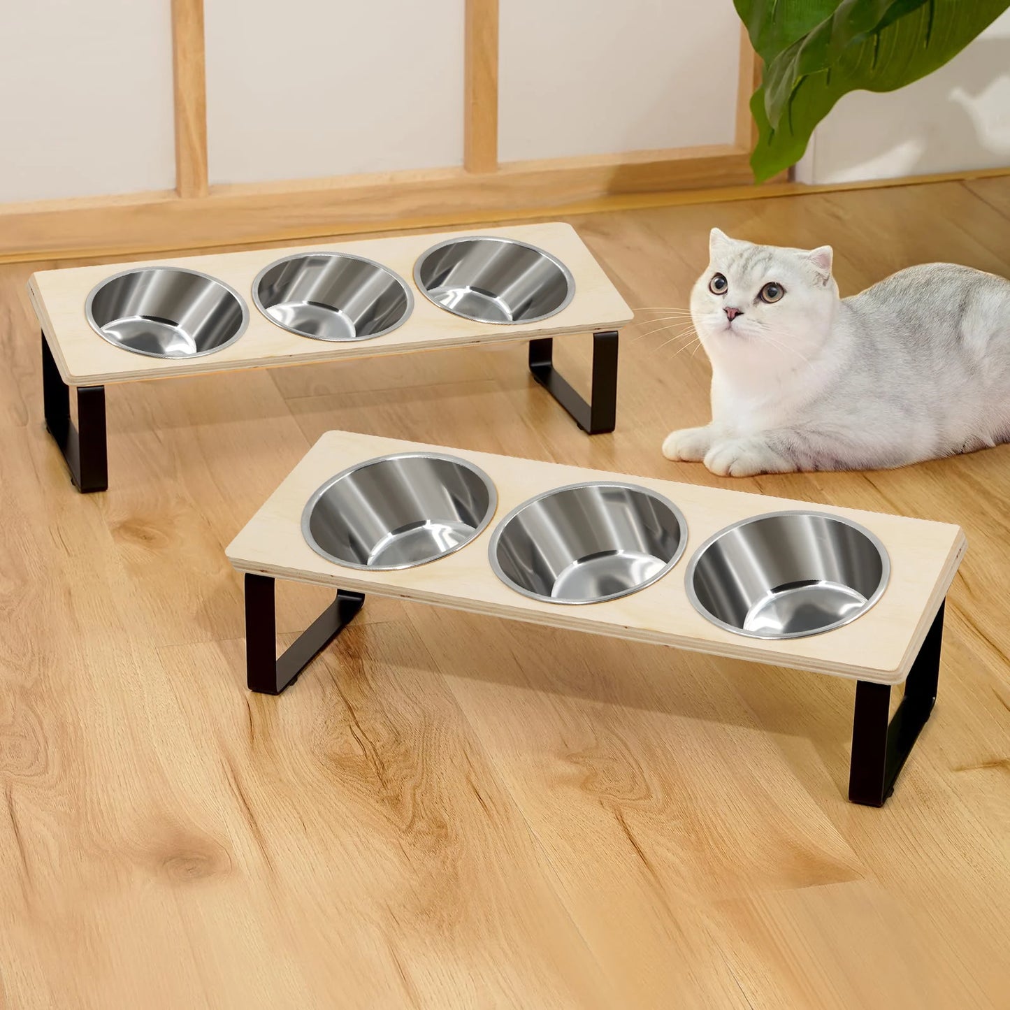 Elevated Cat & Puppy Feeder – 15° Tilted Raised Stand with 3 Stainless Steel Bowls for Food & Water