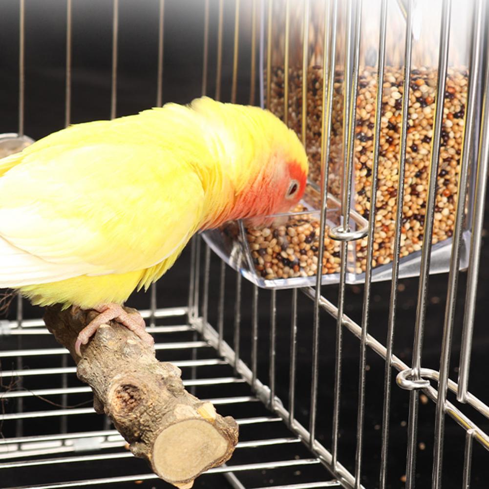 Automatic Bird Feeder & Waterer – Dustproof Lid Food Dispenser for Parrots, Budgies, Cockatiels, and Conures