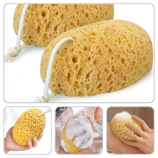 Body Foam Sponges