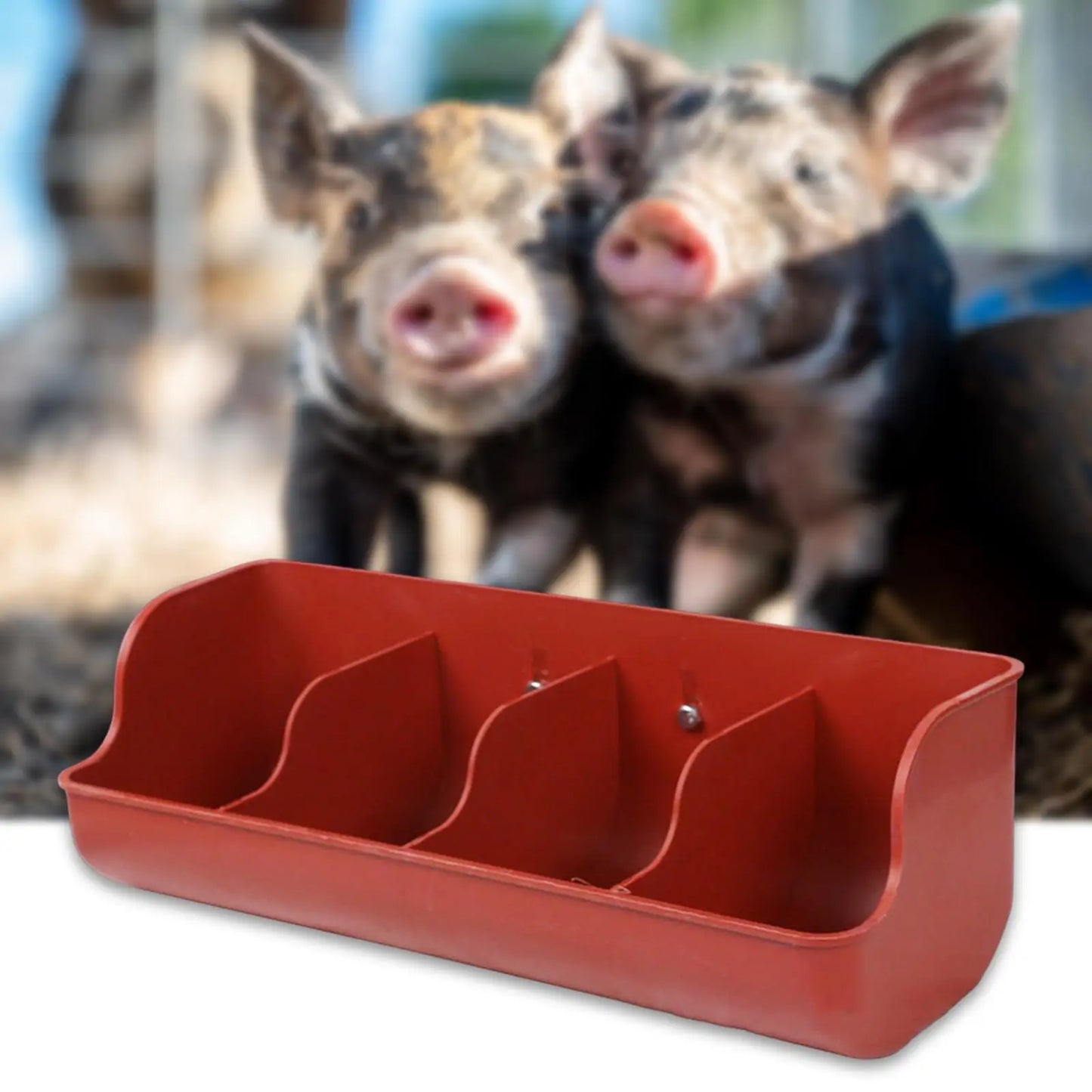 Piglet Fodder Slot Dish Feeding Bowl