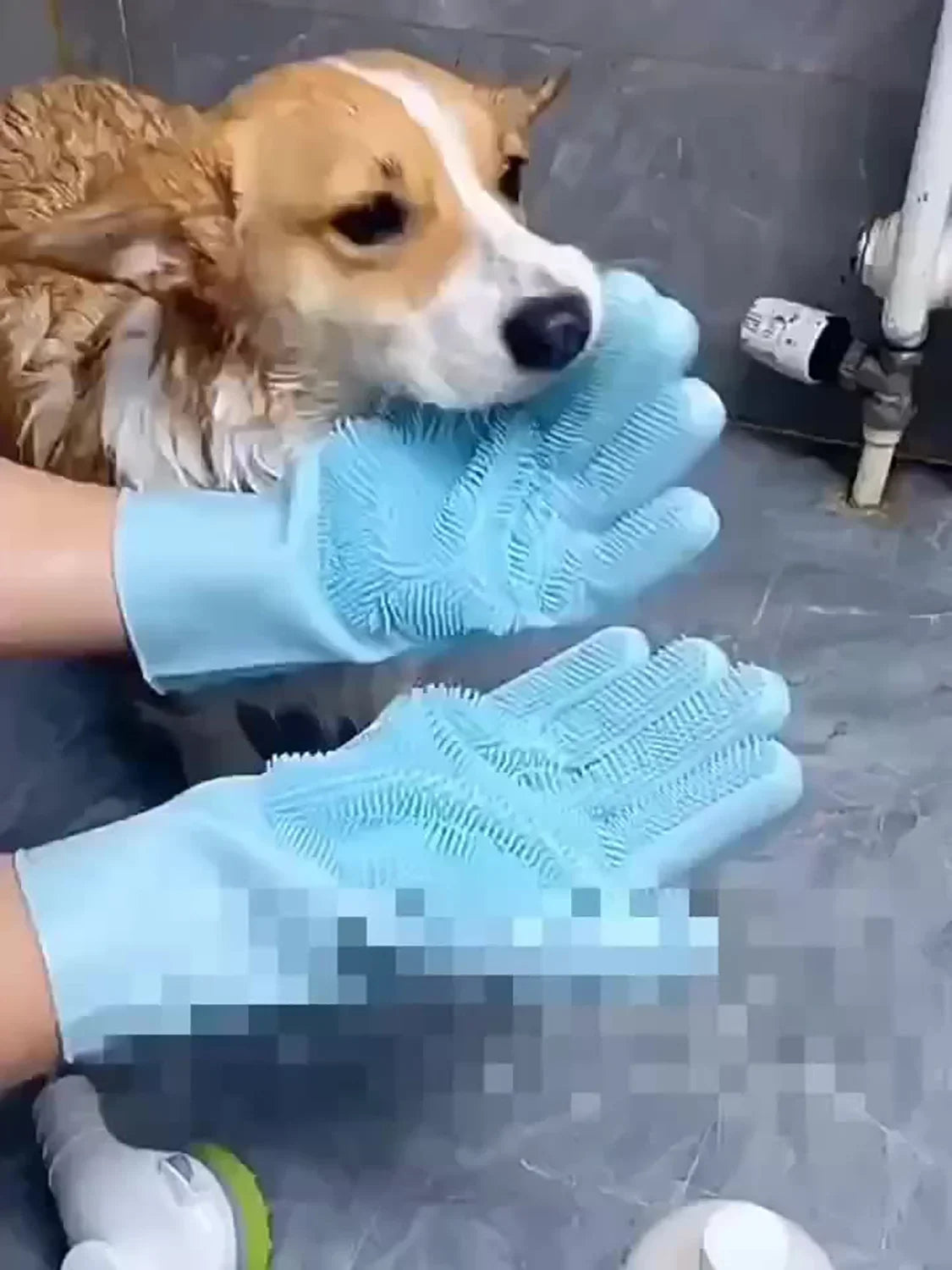 Pet Grooming Cleaning Gloves Bathing Shampoo