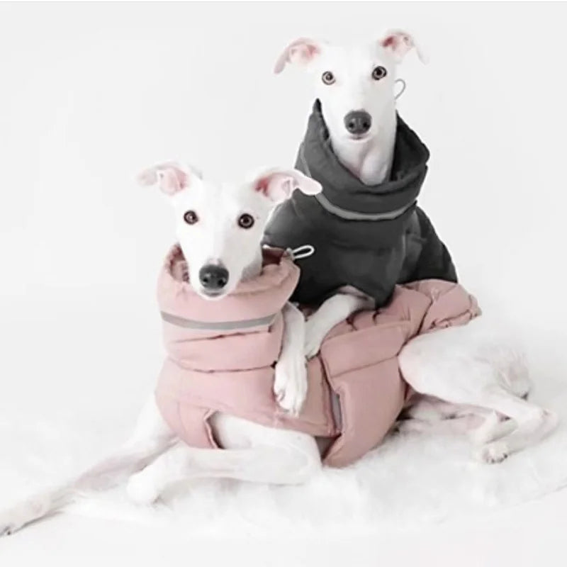 High Collar Dog Down Jacket Winter Waterproof Pet Clothes for Small Medium Dogs Greyhound Weimaraner Jacket Coat ubranie dla psa