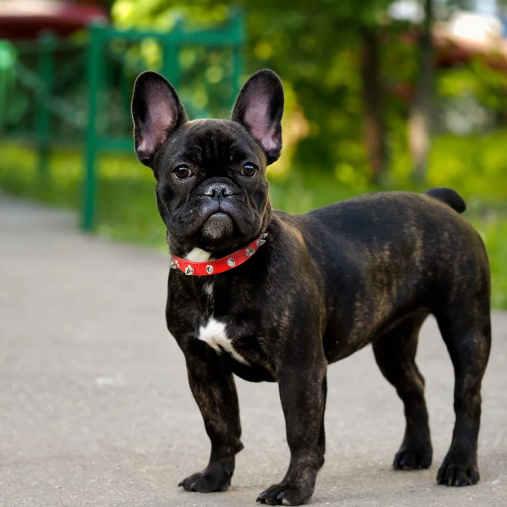 Anti-Bite Spiked Dog Collar – PU Leather Studded Collar for Small Dogs, Bulldogs, Pugs, and Puppies