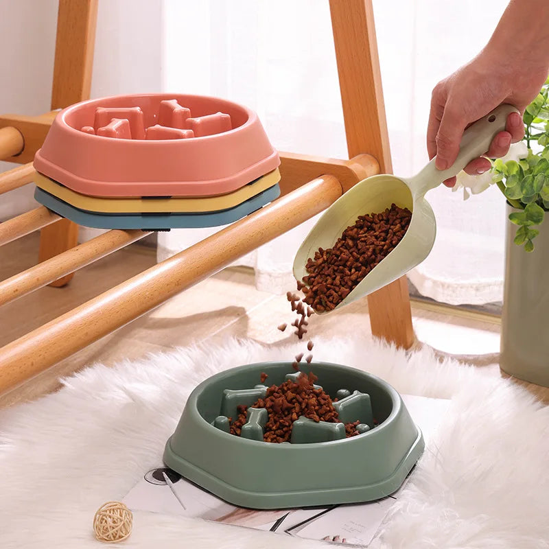 Slow Food Pet Bowl