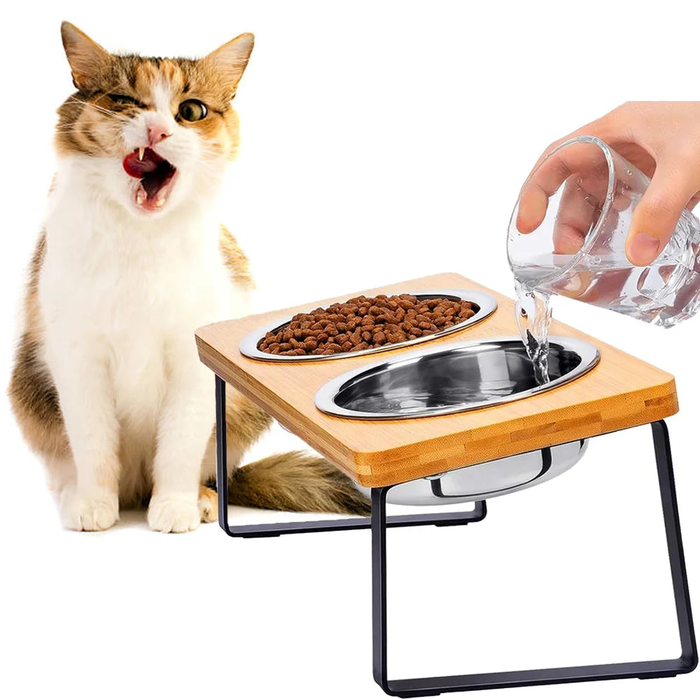 5° Tilted Elevated Pet Bowl – Stainless Steel Feeder for Cats and Puppies, Ergonomic Raised Dog Bowl