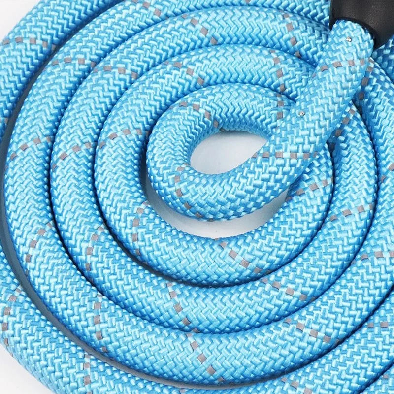 3M Reflective Dog Leash – Padded Handle, Heavy-Duty Double Traction Rope for Small to Large Dogs