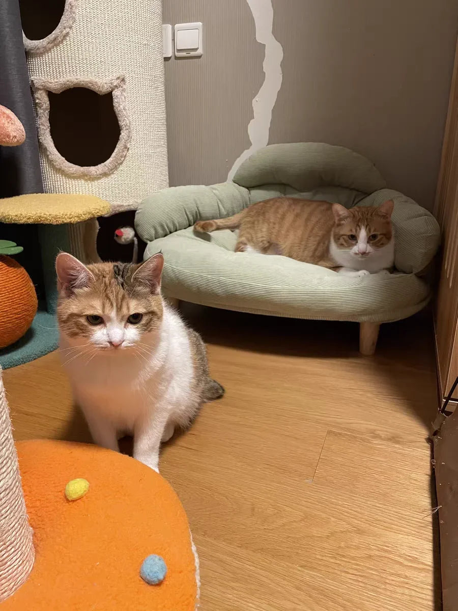 Summer cat and dog sofa four seasons universal dog cushion dog bed cat litter cat cushion removable pet bed