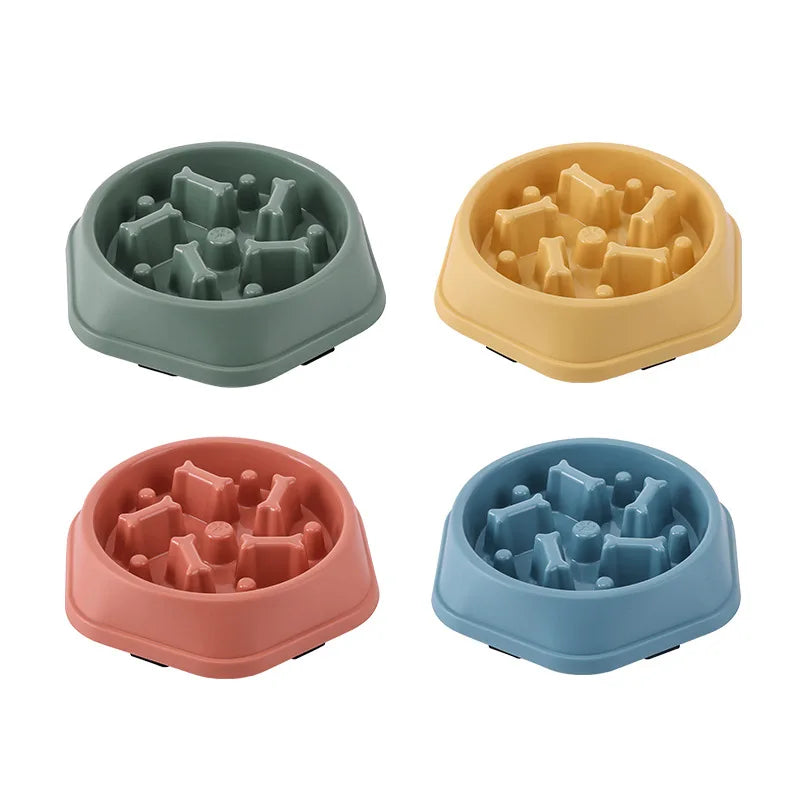 Slow Food Pet Bowl