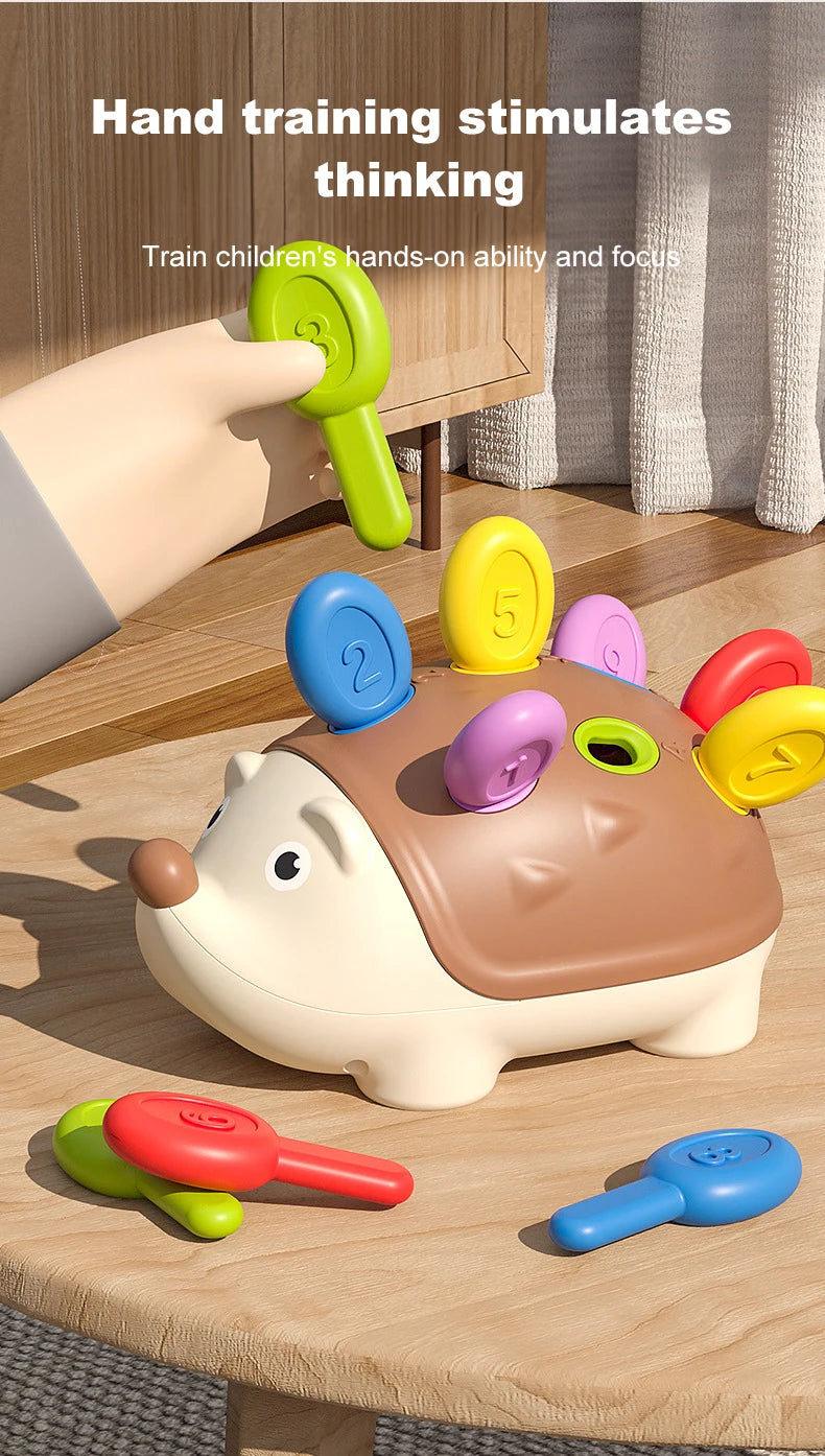 Montessori Baby Hedgehog Toy – Sensory and Fine Motor Educational Toy for Kids