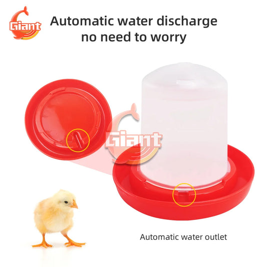 Chicken Chick Feeder & Waterer – Manger Grid Design for Easy Feeding and Drinking