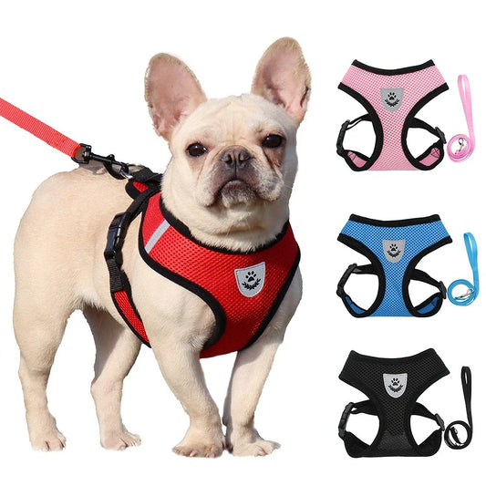 Adjustable Polyester Mesh Pet Harness Lead