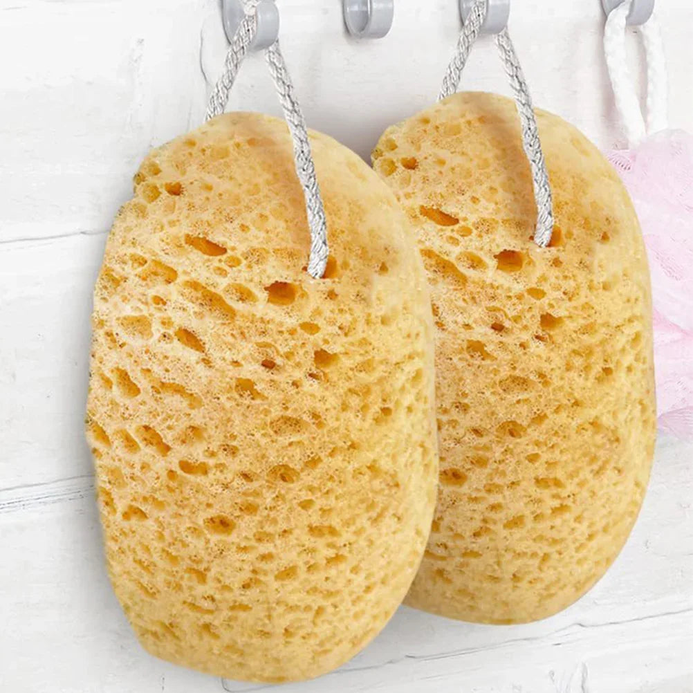 Body Foam Sponges