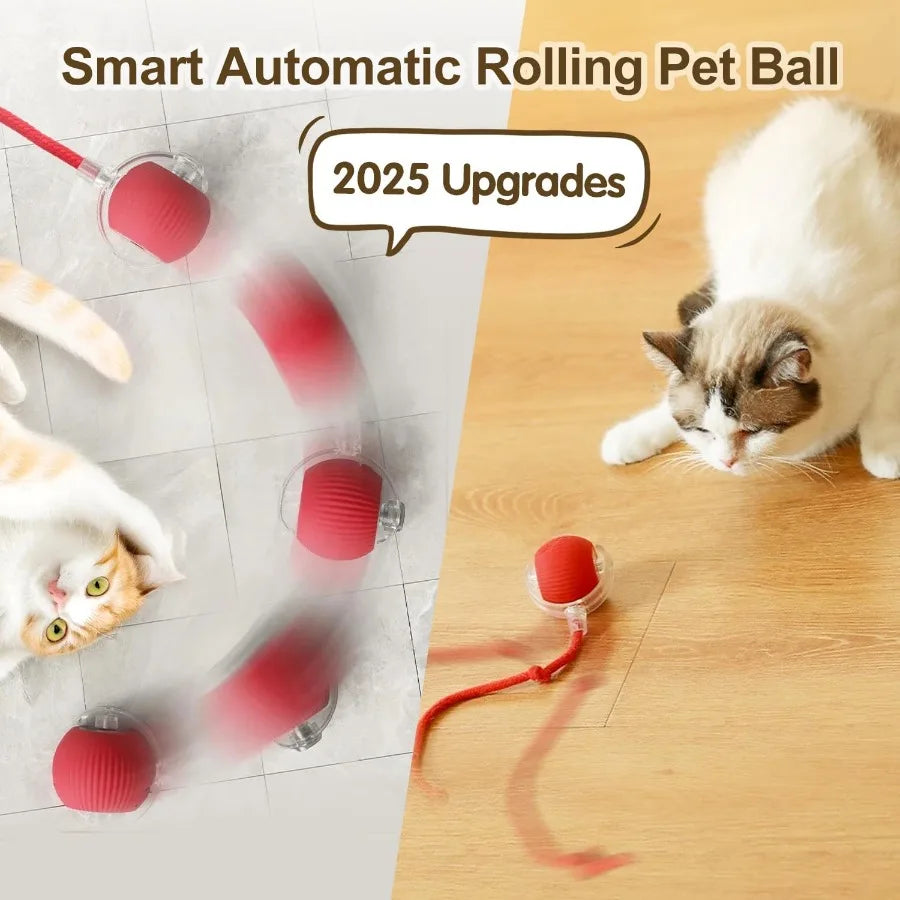 Interactive Cat Toys Ball for Indoor Cats Interactive Rolling Dog Ball Cat Toy Automatic Cat Toy Self Moving Dog Toys 360 Rolli