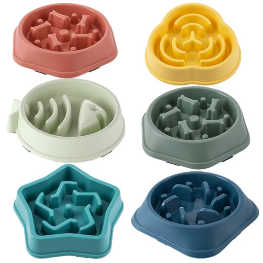Slow Food Pet Bowl