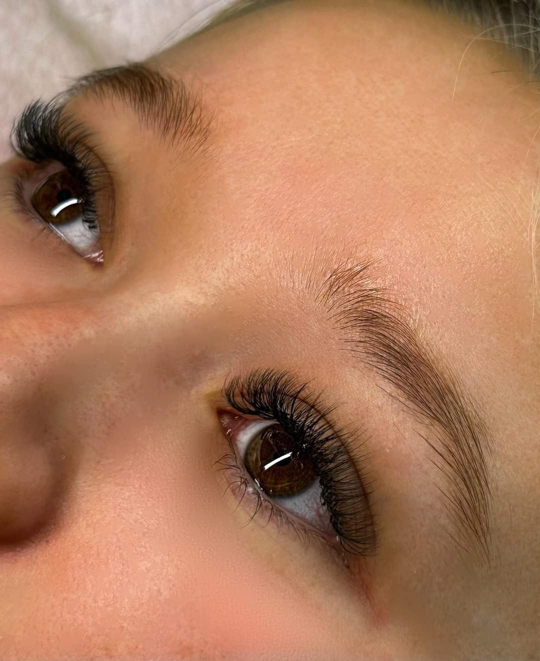 Sample Tray 6D Clover