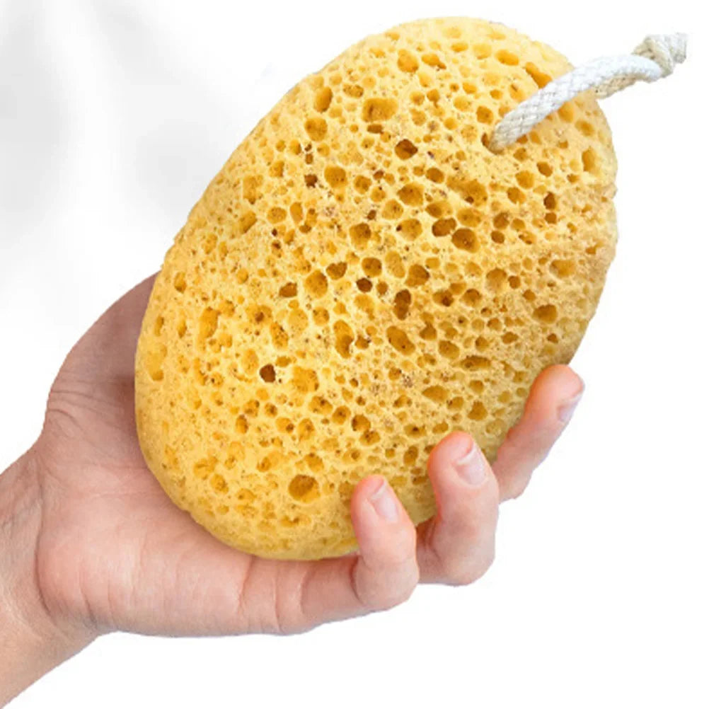 Body Foam Sponges