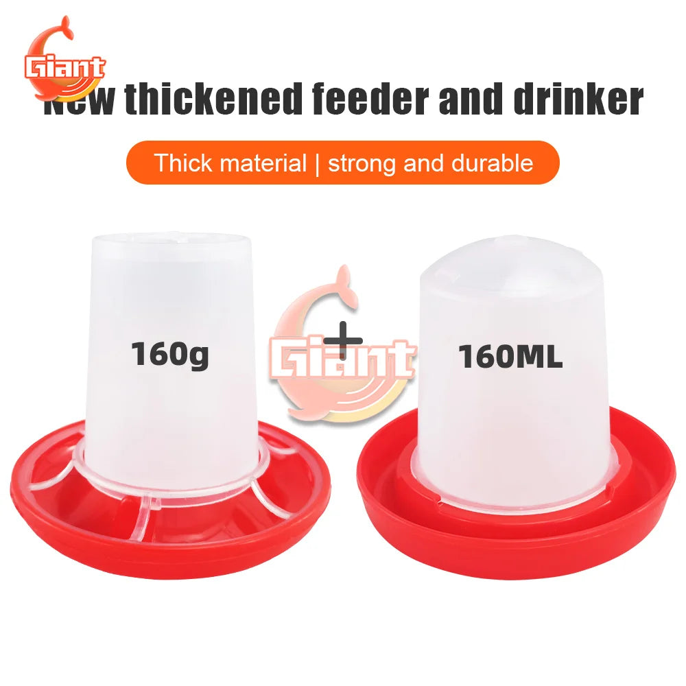 Chicken Chick Feeder & Waterer – Manger Grid Design for Easy Feeding and Drinking