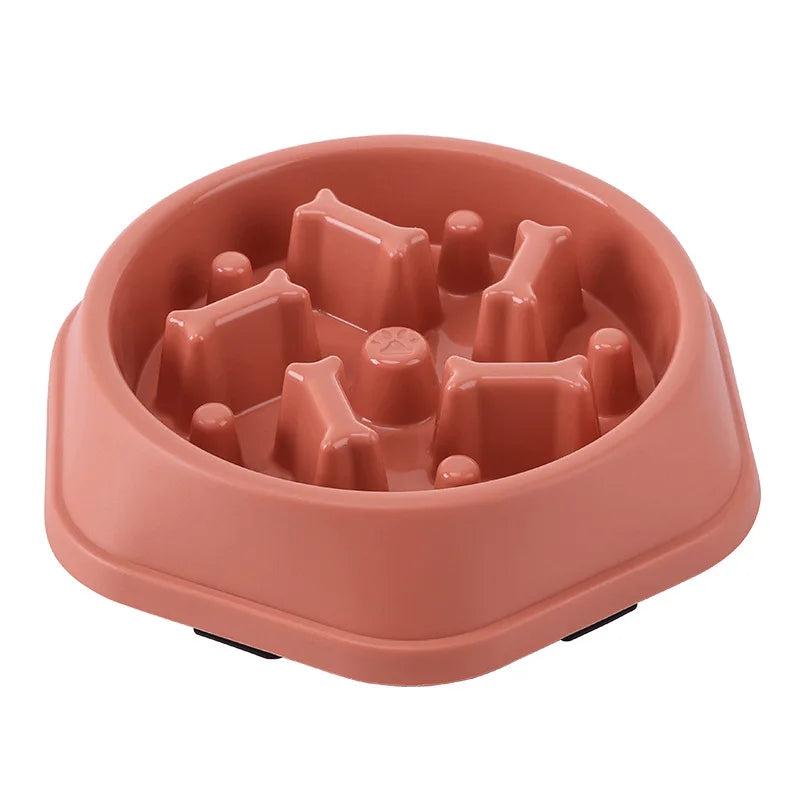 Slow Food Pet Bowl