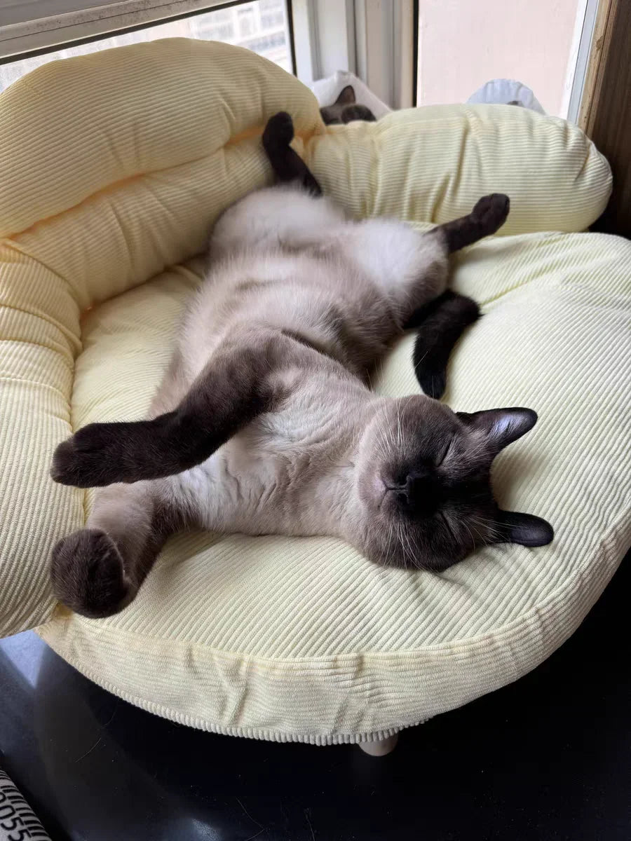 Summer cat and dog sofa four seasons universal dog cushion dog bed cat litter cat cushion removable pet bed